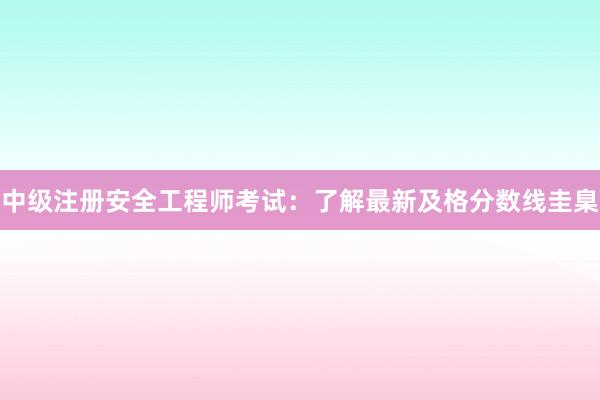 中级注册安全工程师考试：了解最新及格分数线圭臬