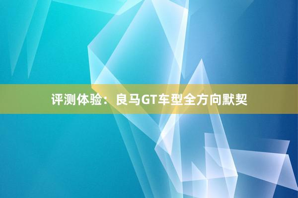 评测体验：良马GT车型全方向默契